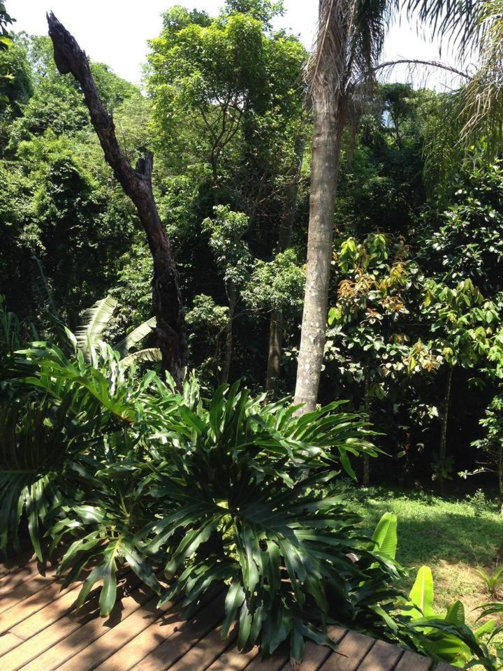 Rainforest House - Ilha Grande Extérieur photo