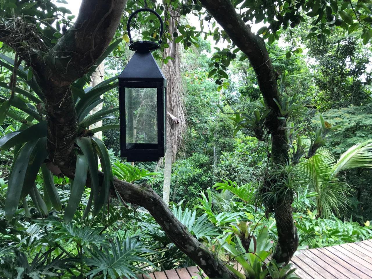 Rainforest House - Ilha Grande Extérieur photo
